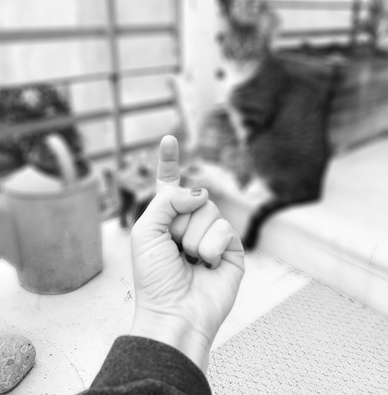 Summoning someone with your finger