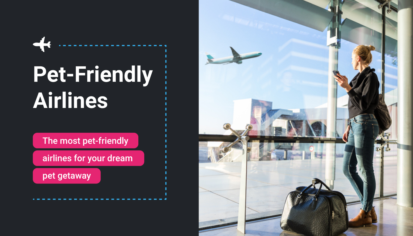 Pet-Friendly Airlines