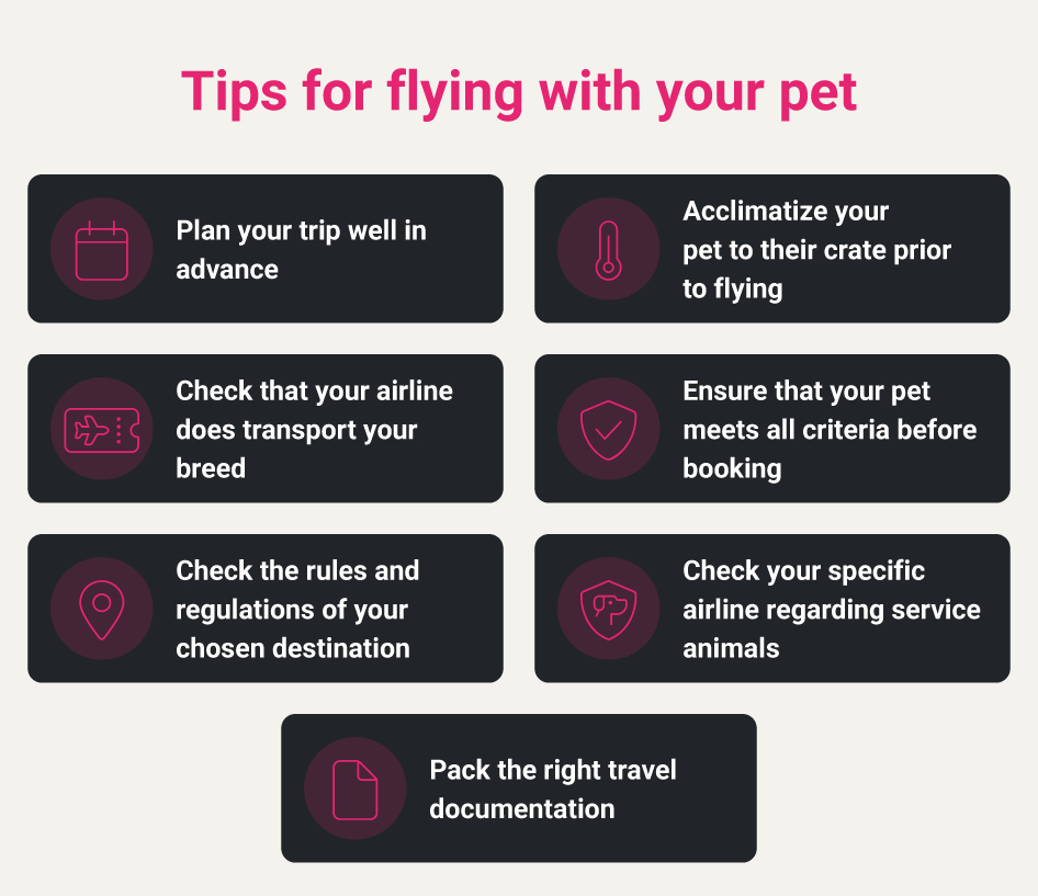 Pet Friendly Airlines Tips For Travelling With Your Pet