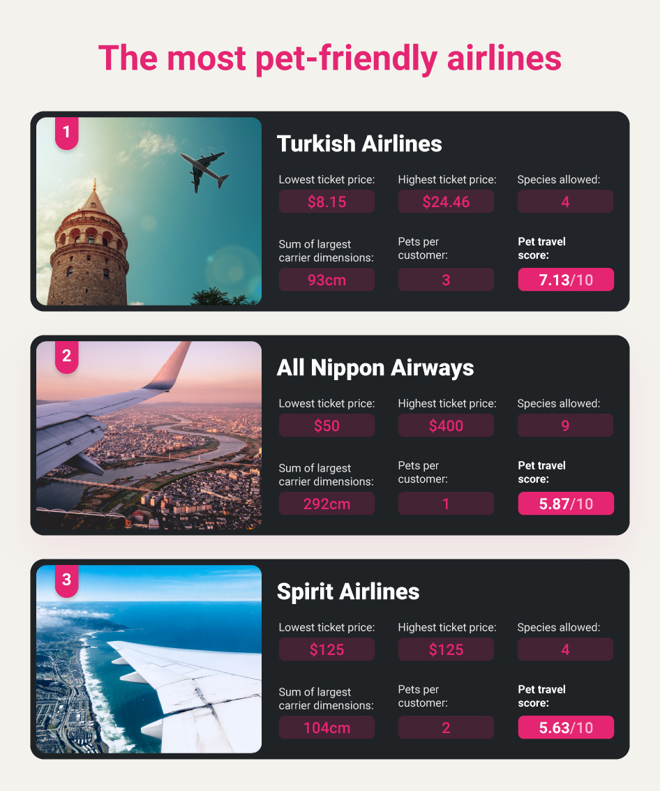 Pet Friendly Airlines Top 3