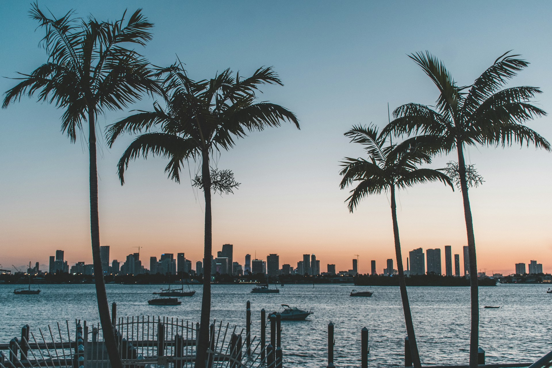 Palm trees near water at sunset, Miami Beach, Florida