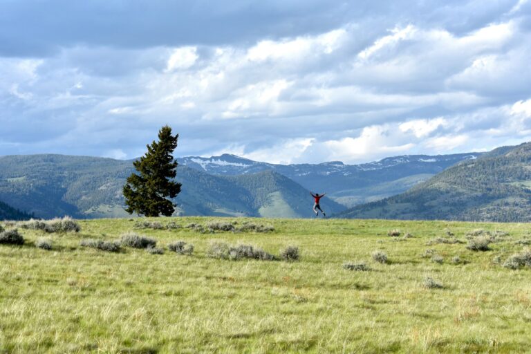 person leaping for joy in Yellowstone National Park grassland