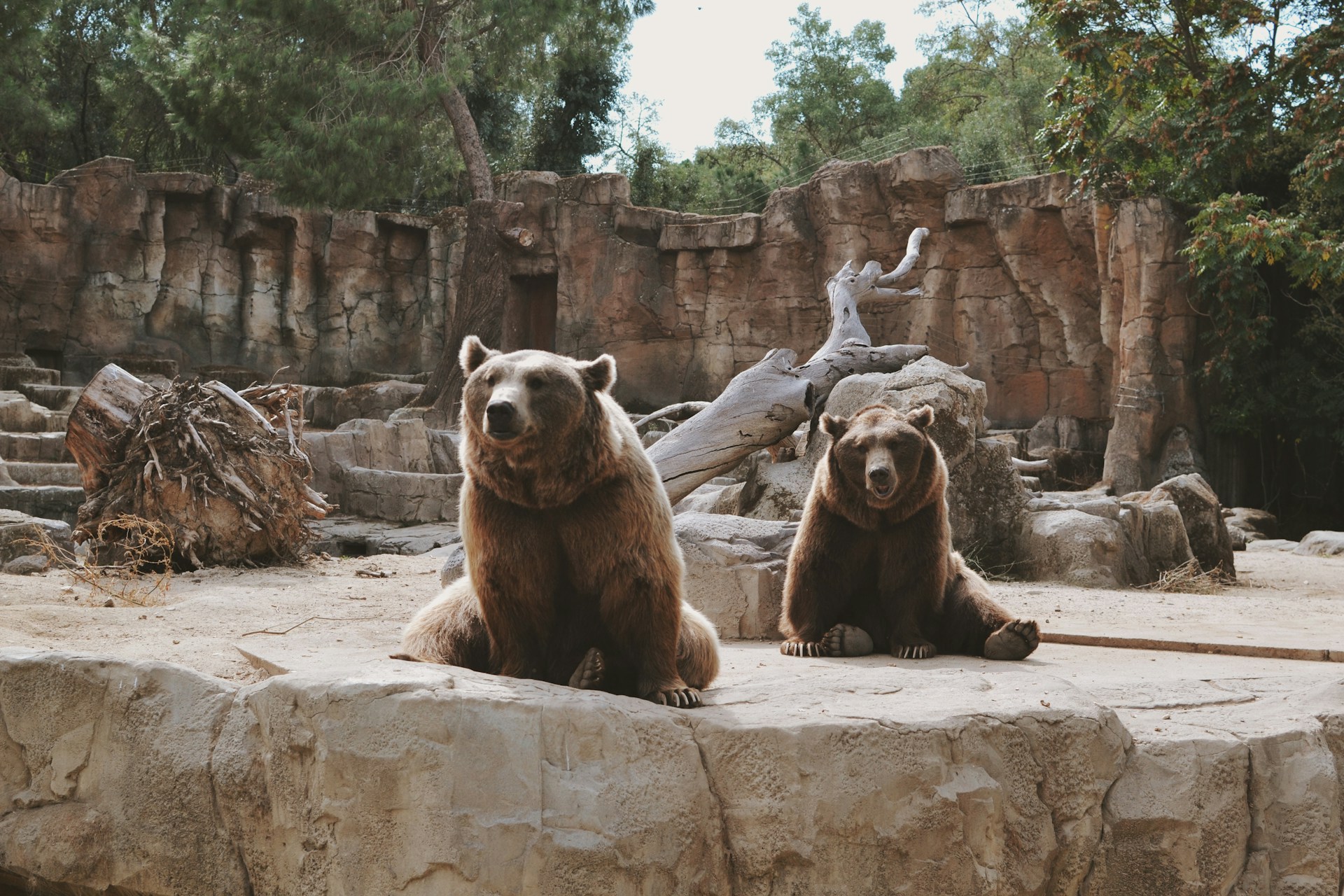 Most Popular Zoos in the US